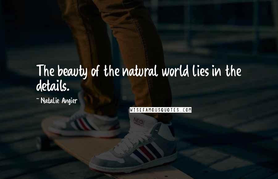 Natalie Angier Quotes: The beauty of the natural world lies in the details.