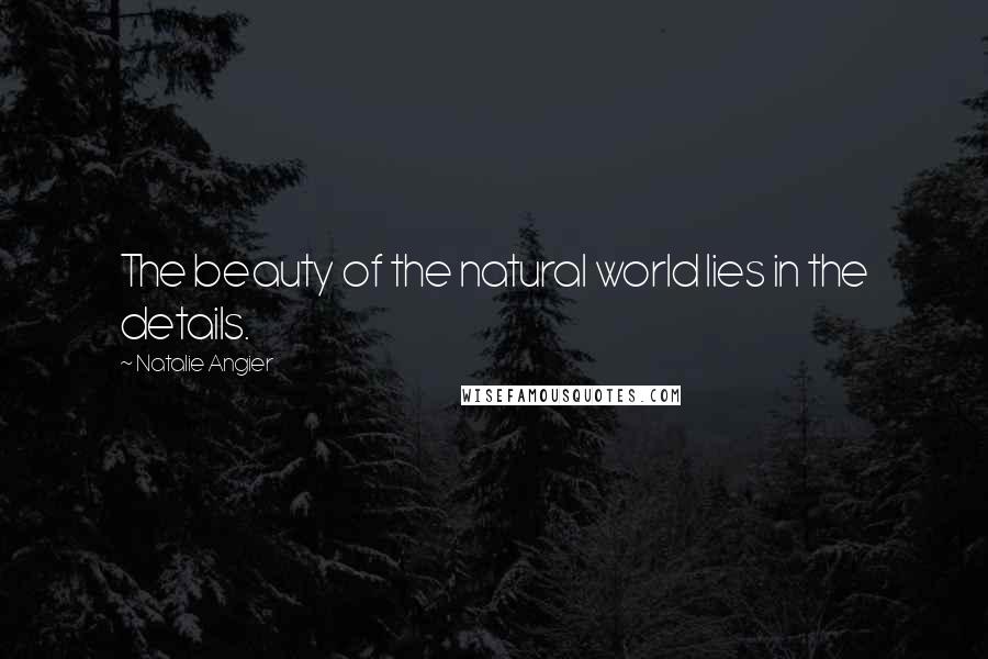 Natalie Angier Quotes: The beauty of the natural world lies in the details.