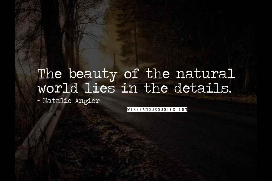 Natalie Angier Quotes: The beauty of the natural world lies in the details.