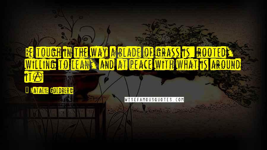 Natalie Goldberg Quotes: Be tough in the way a blade of grass is: rooted, willing to lean, and at peace with what is around it.