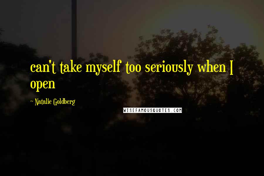 Natalie Goldberg Quotes: can't take myself too seriously when I open