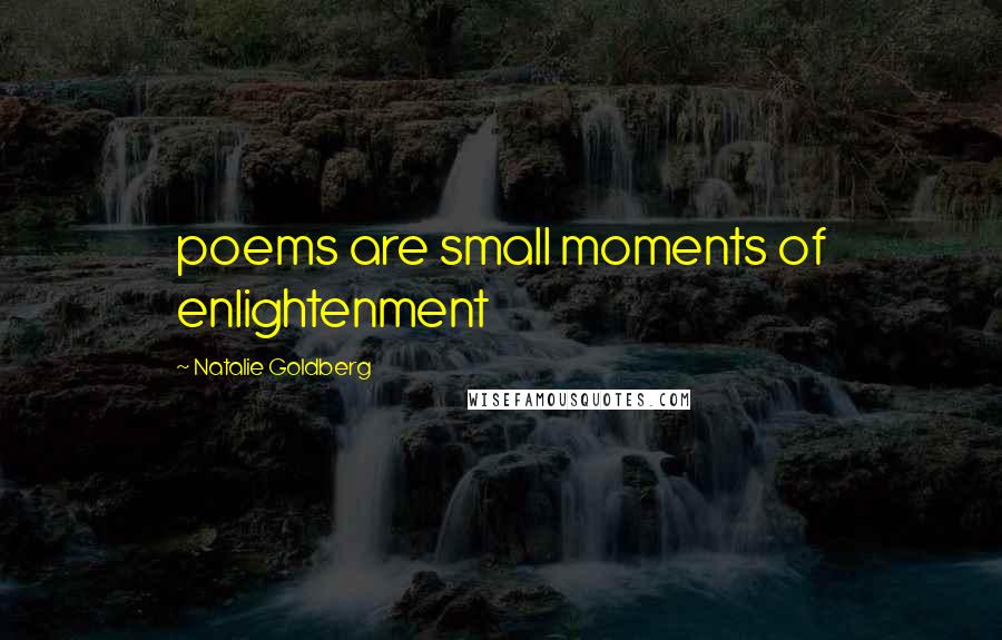 Natalie Goldberg Quotes: poems are small moments of enlightenment