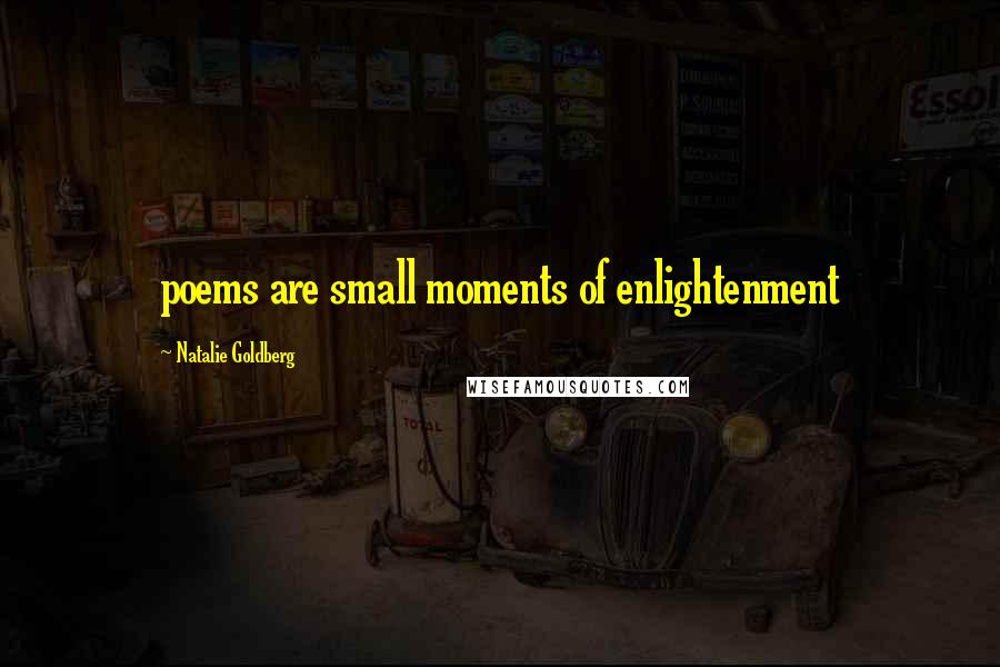 Natalie Goldberg Quotes: poems are small moments of enlightenment