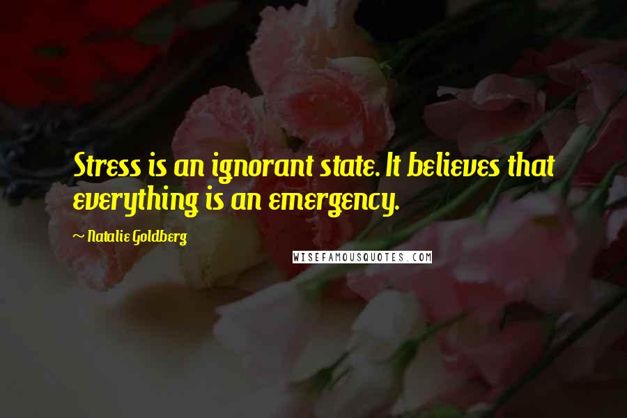 Natalie Goldberg Quotes: Stress is an ignorant state. It believes that everything is an emergency.