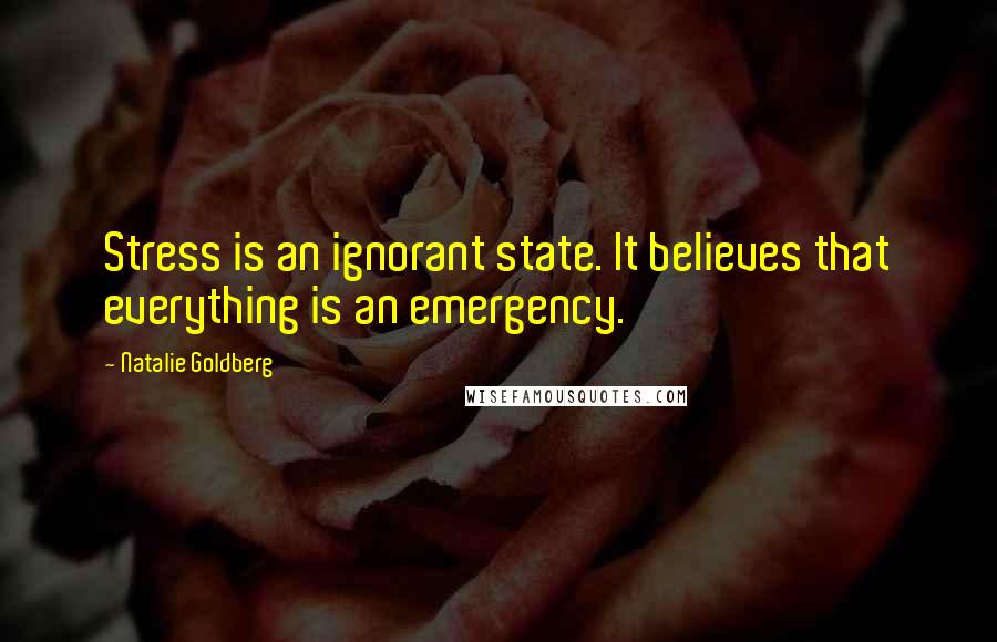 Natalie Goldberg Quotes: Stress is an ignorant state. It believes that everything is an emergency.