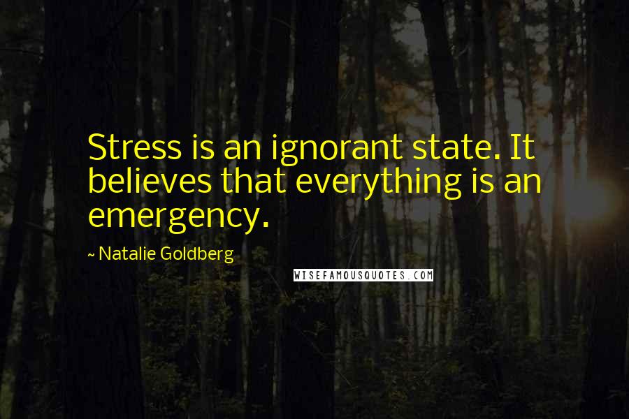 Natalie Goldberg Quotes: Stress is an ignorant state. It believes that everything is an emergency.