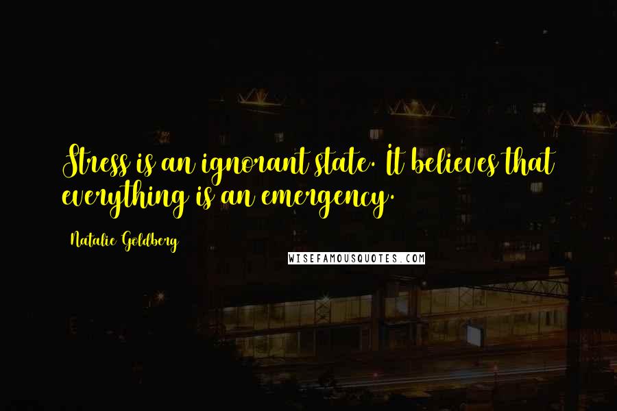 Natalie Goldberg Quotes: Stress is an ignorant state. It believes that everything is an emergency.