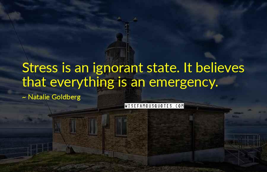 Natalie Goldberg Quotes: Stress is an ignorant state. It believes that everything is an emergency.