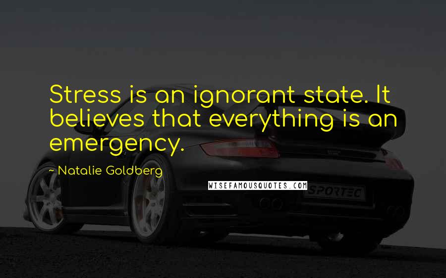 Natalie Goldberg Quotes: Stress is an ignorant state. It believes that everything is an emergency.