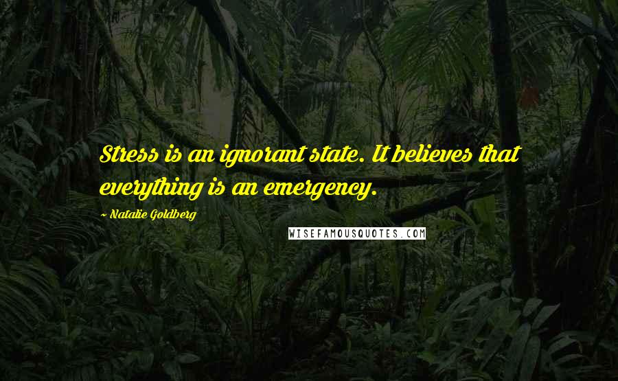 Natalie Goldberg Quotes: Stress is an ignorant state. It believes that everything is an emergency.