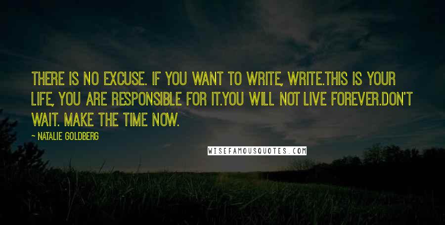 Natalie Goldberg Quotes: There is no excuse. If you want to write, write.This is your life, you are responsible for it.You will not live forever.Don't wait. Make the time now.