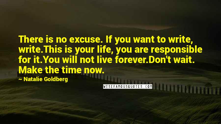 Natalie Goldberg Quotes: There is no excuse. If you want to write, write.This is your life, you are responsible for it.You will not live forever.Don't wait. Make the time now.
