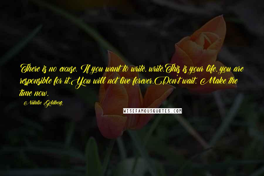 Natalie Goldberg Quotes: There is no excuse. If you want to write, write.This is your life, you are responsible for it.You will not live forever.Don't wait. Make the time now.