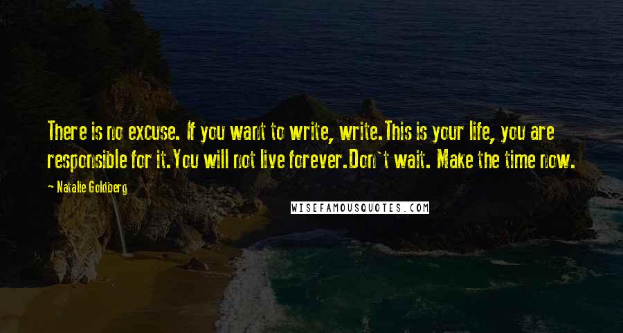 Natalie Goldberg Quotes: There is no excuse. If you want to write, write.This is your life, you are responsible for it.You will not live forever.Don't wait. Make the time now.