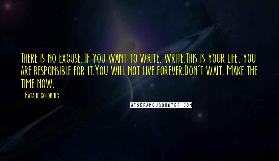 Natalie Goldberg Quotes: There is no excuse. If you want to write, write.This is your life, you are responsible for it.You will not live forever.Don't wait. Make the time now.