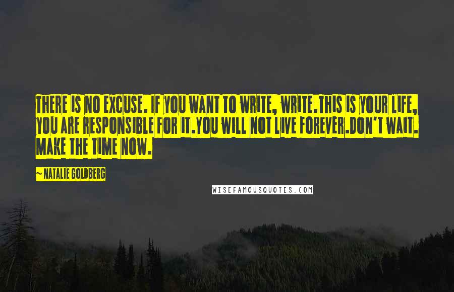 Natalie Goldberg Quotes: There is no excuse. If you want to write, write.This is your life, you are responsible for it.You will not live forever.Don't wait. Make the time now.