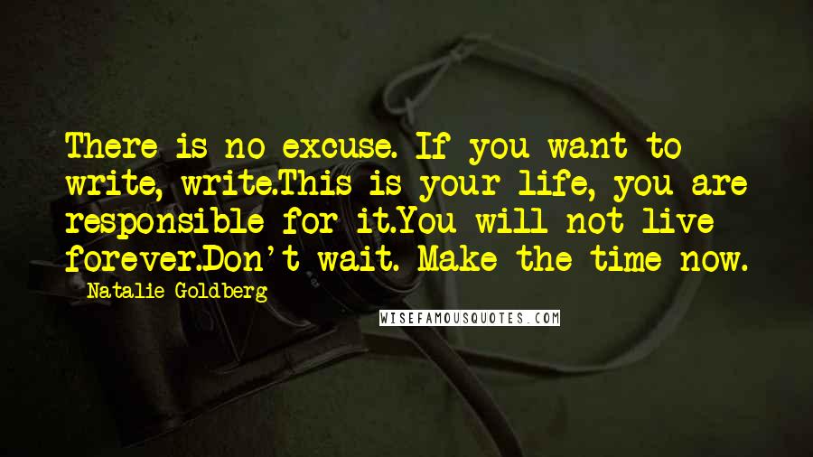 Natalie Goldberg Quotes: There is no excuse. If you want to write, write.This is your life, you are responsible for it.You will not live forever.Don't wait. Make the time now.