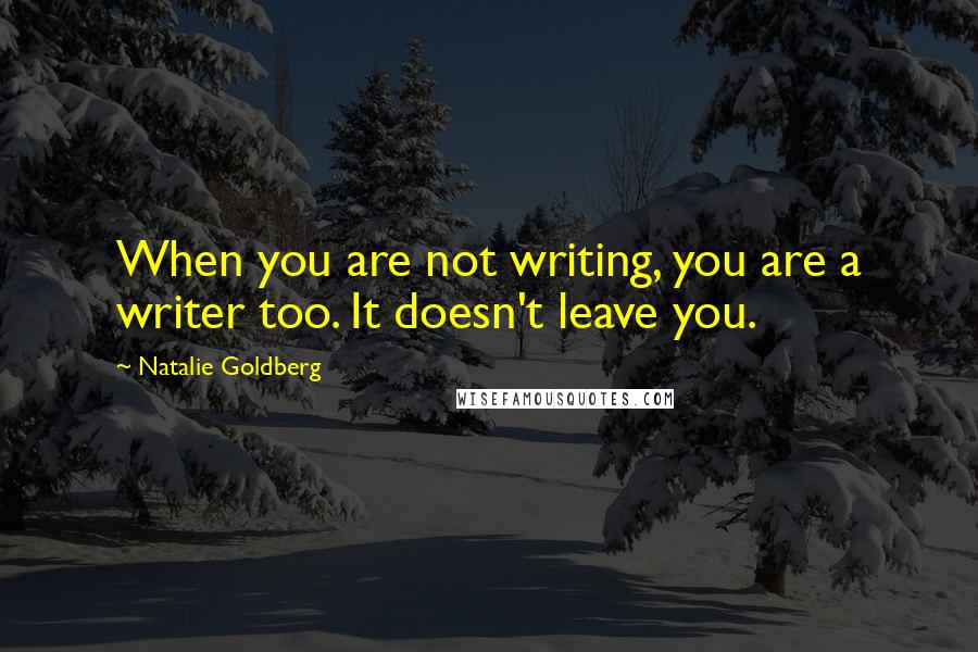 Natalie Goldberg Quotes: When you are not writing, you are a writer too. It doesn't leave you.