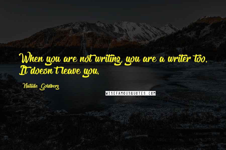 Natalie Goldberg Quotes: When you are not writing, you are a writer too. It doesn't leave you.