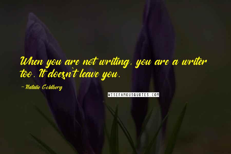 Natalie Goldberg Quotes: When you are not writing, you are a writer too. It doesn't leave you.