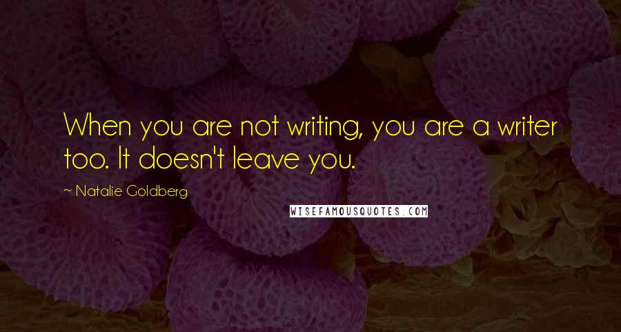 Natalie Goldberg Quotes: When you are not writing, you are a writer too. It doesn't leave you.