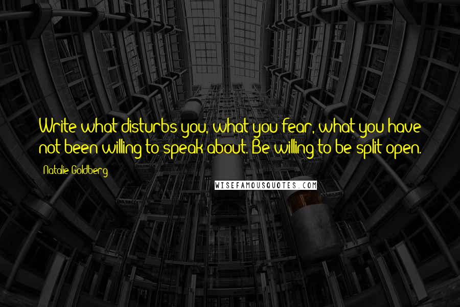 Natalie Goldberg Quotes: Write what disturbs you, what you fear, what you have not been willing to speak about. Be willing to be split open.