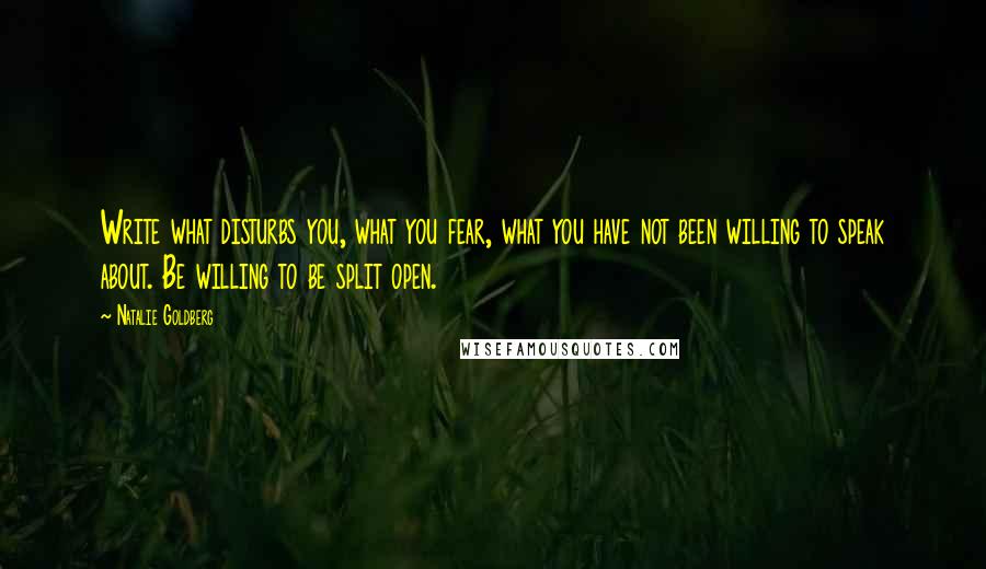 Natalie Goldberg Quotes: Write what disturbs you, what you fear, what you have not been willing to speak about. Be willing to be split open.