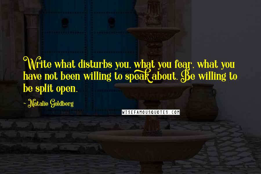 Natalie Goldberg Quotes: Write what disturbs you, what you fear, what you have not been willing to speak about. Be willing to be split open.