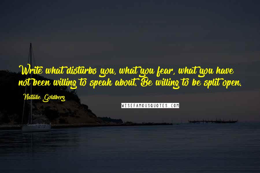 Natalie Goldberg Quotes: Write what disturbs you, what you fear, what you have not been willing to speak about. Be willing to be split open.