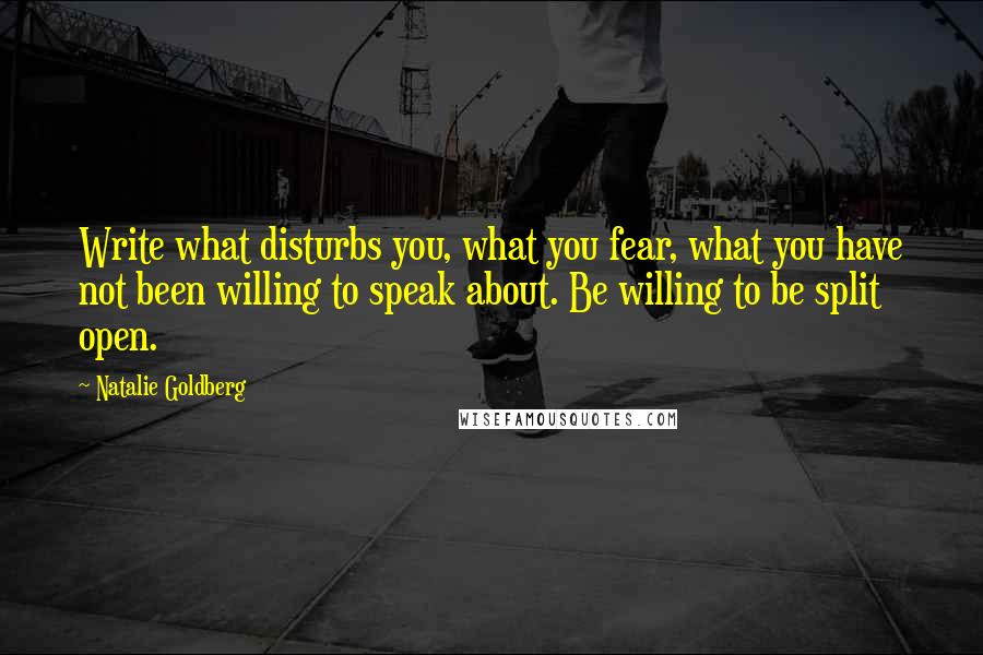 Natalie Goldberg Quotes: Write what disturbs you, what you fear, what you have not been willing to speak about. Be willing to be split open.