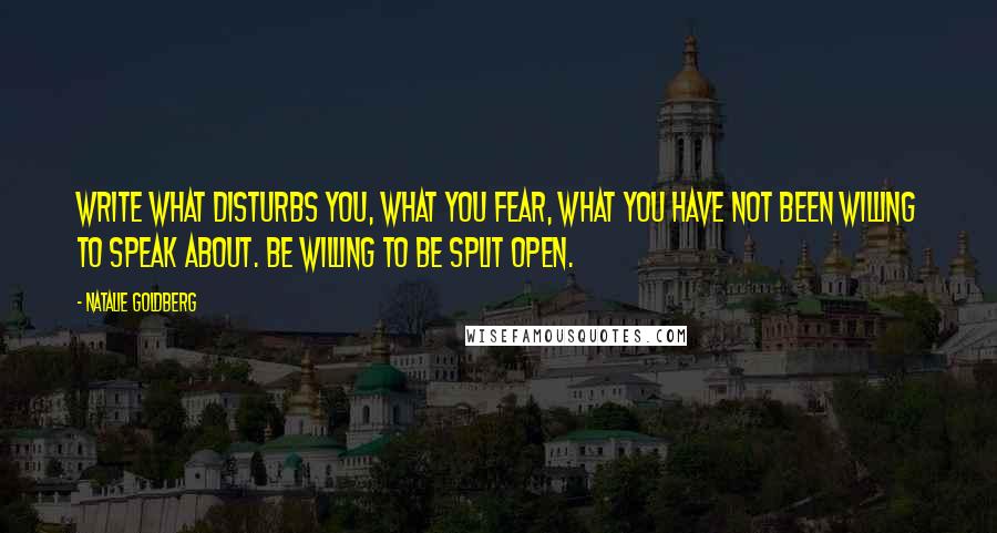 Natalie Goldberg Quotes: Write what disturbs you, what you fear, what you have not been willing to speak about. Be willing to be split open.