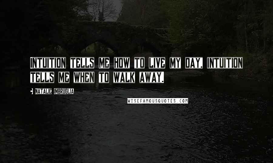 Natalie Imbruglia Quotes: Intuition tells me how to live my day, intuition tells me when to walk away.