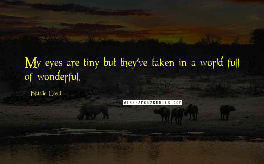 Natalie Lloyd Quotes: My eyes are tiny but they've taken in a world full of wonderful.