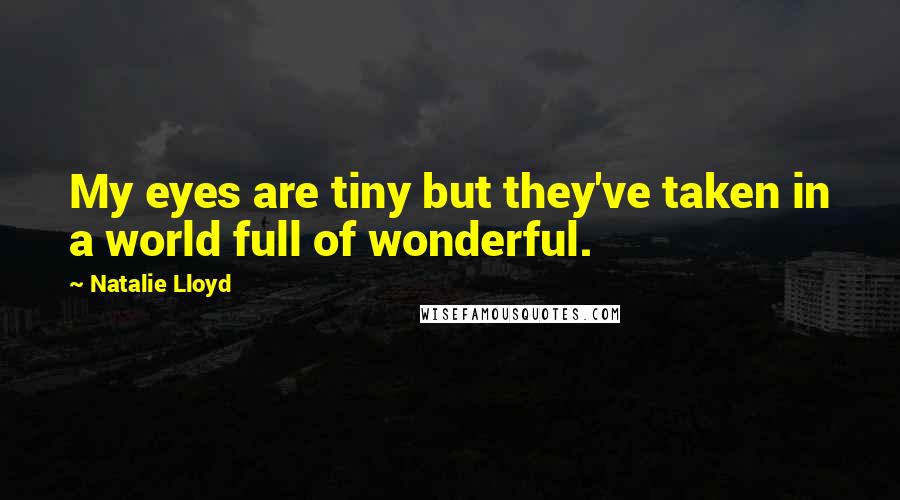 Natalie Lloyd Quotes: My eyes are tiny but they've taken in a world full of wonderful.