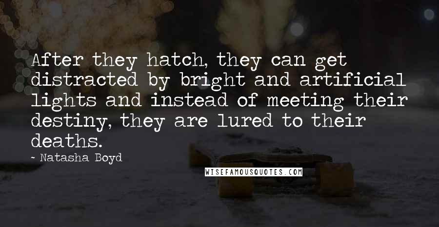 Natasha Boyd Quotes: After they hatch, they can get distracted by bright and artificial lights and instead of meeting their destiny, they are lured to their deaths.