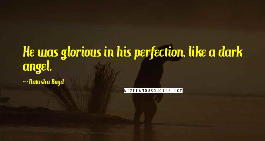 Natasha Boyd Quotes: He was glorious in his perfection, like a dark angel.