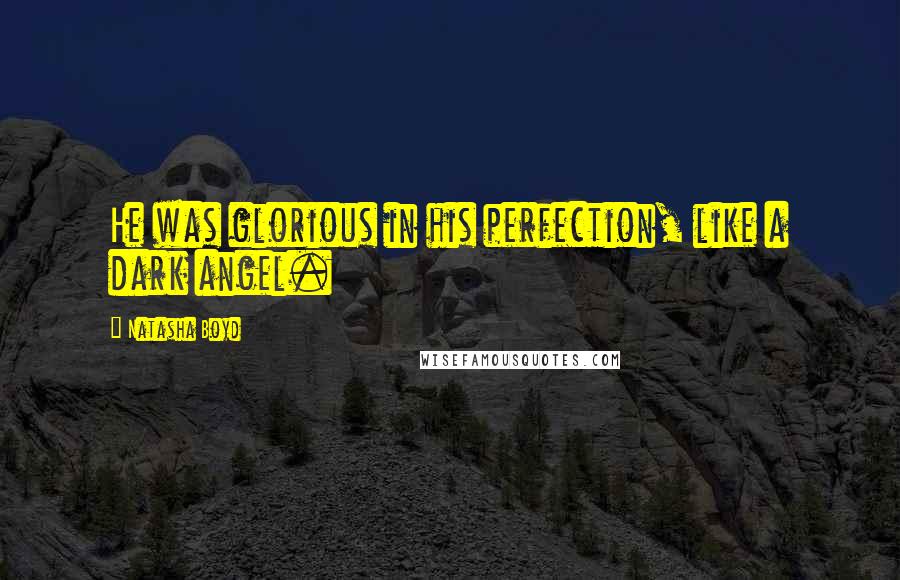 Natasha Boyd Quotes: He was glorious in his perfection, like a dark angel.