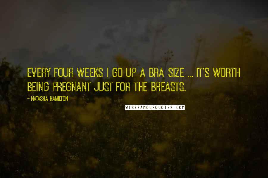 Natasha Hamilton Quotes: Every four weeks I go up a bra size ... it's worth being pregnant just for the breasts.