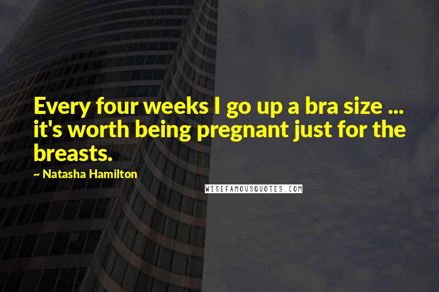 Natasha Hamilton Quotes: Every four weeks I go up a bra size ... it's worth being pregnant just for the breasts.