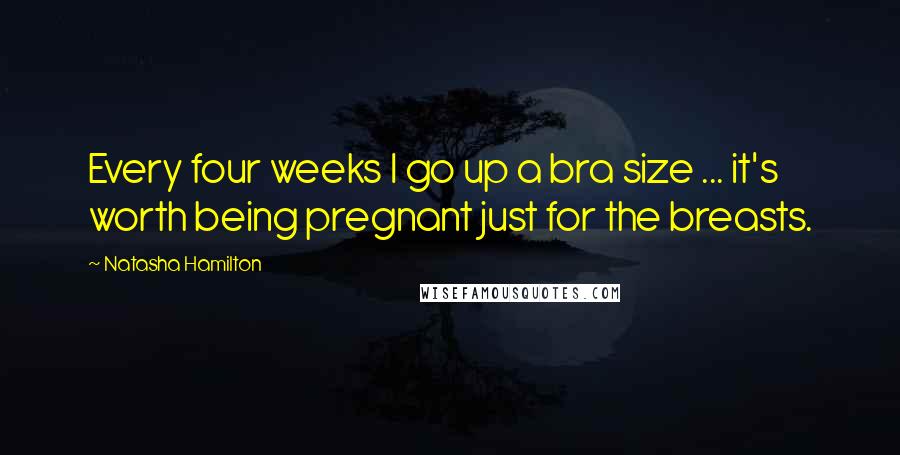 Natasha Hamilton Quotes: Every four weeks I go up a bra size ... it's worth being pregnant just for the breasts.