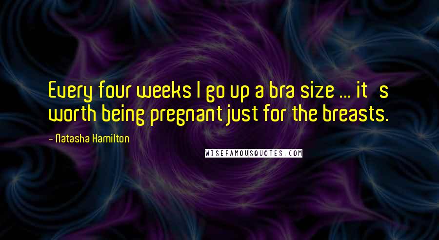 Natasha Hamilton Quotes: Every four weeks I go up a bra size ... it's worth being pregnant just for the breasts.