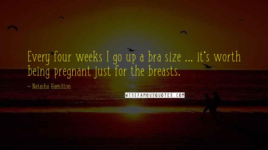 Natasha Hamilton Quotes: Every four weeks I go up a bra size ... it's worth being pregnant just for the breasts.