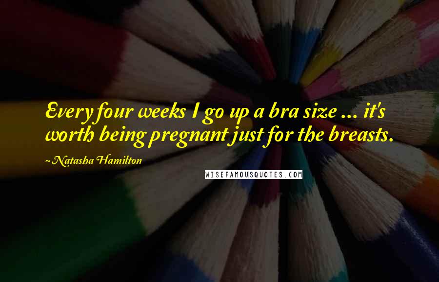 Natasha Hamilton Quotes: Every four weeks I go up a bra size ... it's worth being pregnant just for the breasts.