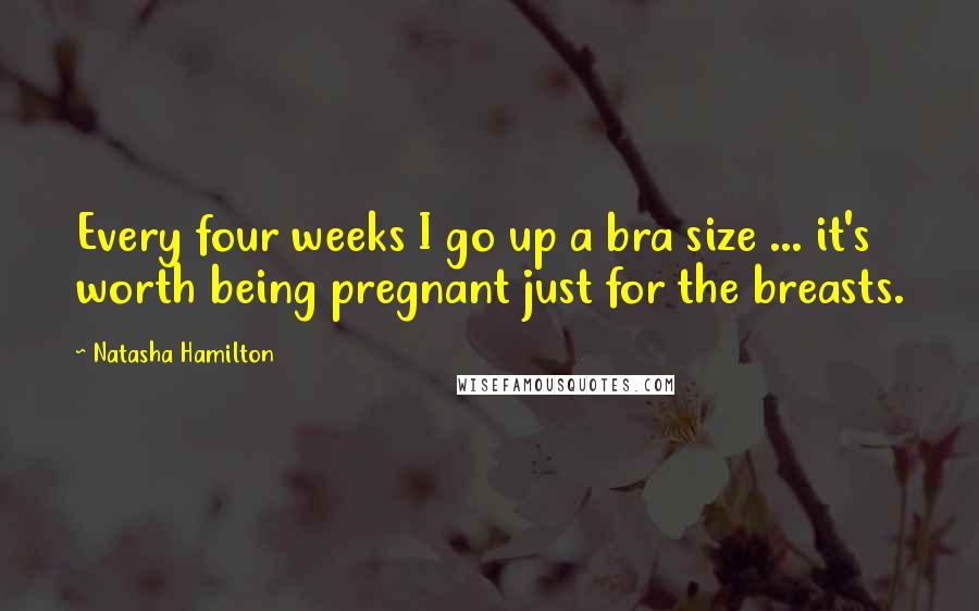 Natasha Hamilton Quotes: Every four weeks I go up a bra size ... it's worth being pregnant just for the breasts.