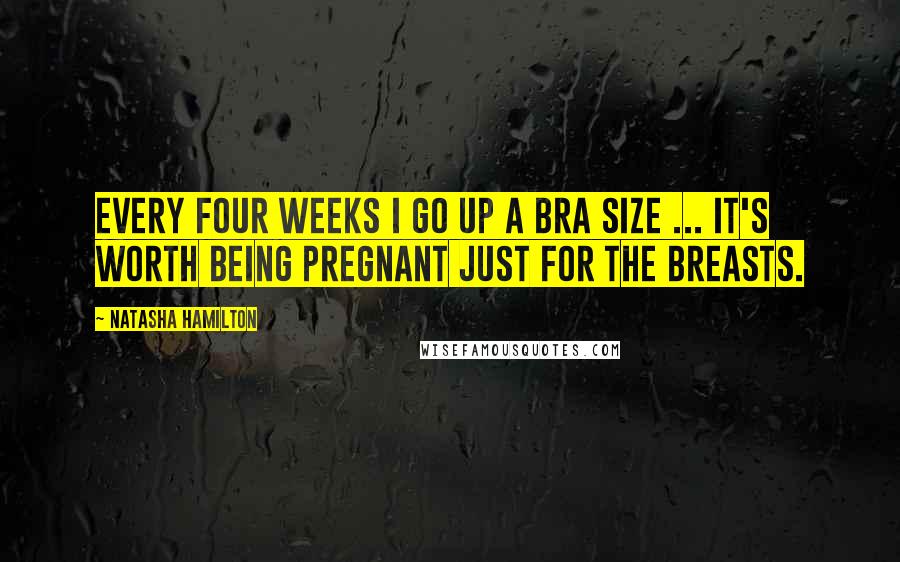 Natasha Hamilton Quotes: Every four weeks I go up a bra size ... it's worth being pregnant just for the breasts.