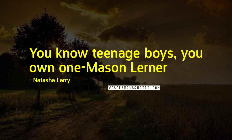 Natasha Larry Quotes: You know teenage boys, you own one-Mason Lerner