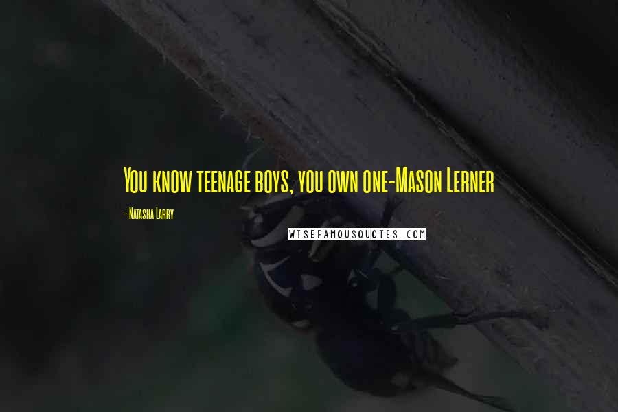 Natasha Larry Quotes: You know teenage boys, you own one-Mason Lerner
