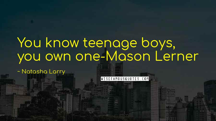 Natasha Larry Quotes: You know teenage boys, you own one-Mason Lerner
