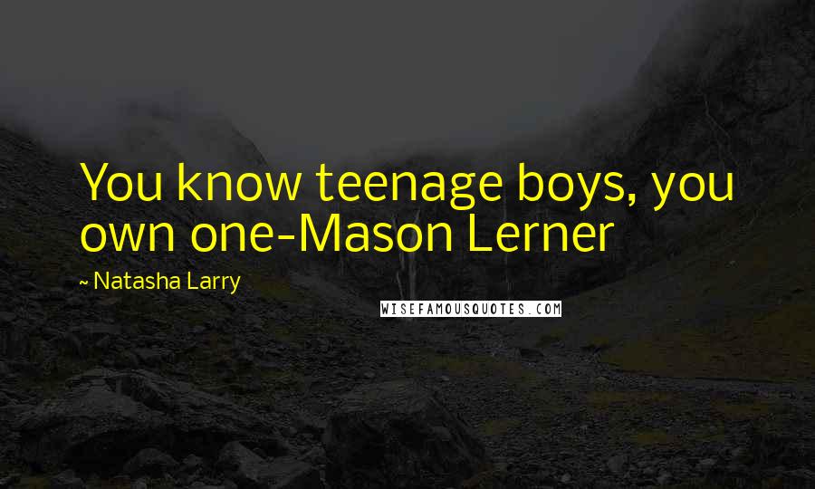 Natasha Larry Quotes: You know teenage boys, you own one-Mason Lerner