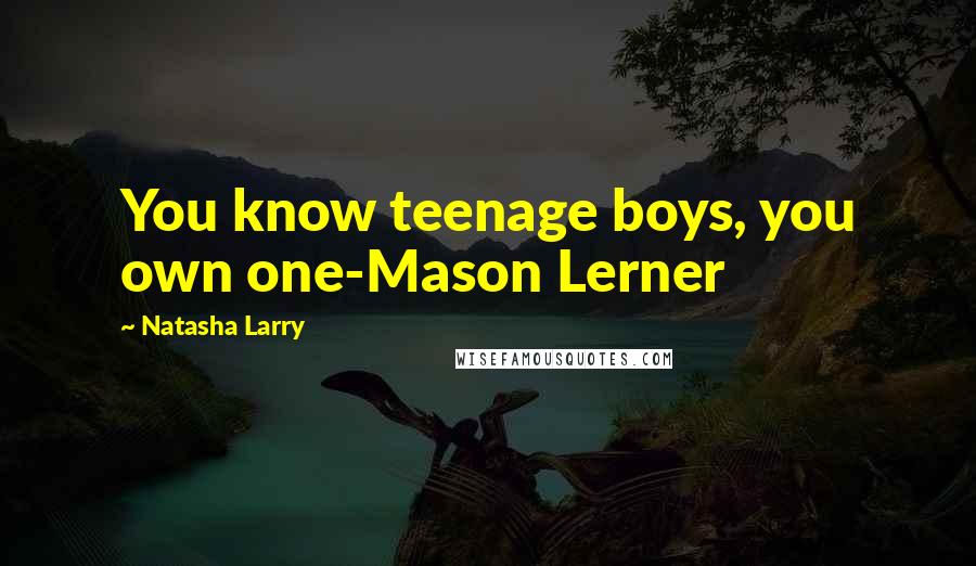 Natasha Larry Quotes: You know teenage boys, you own one-Mason Lerner